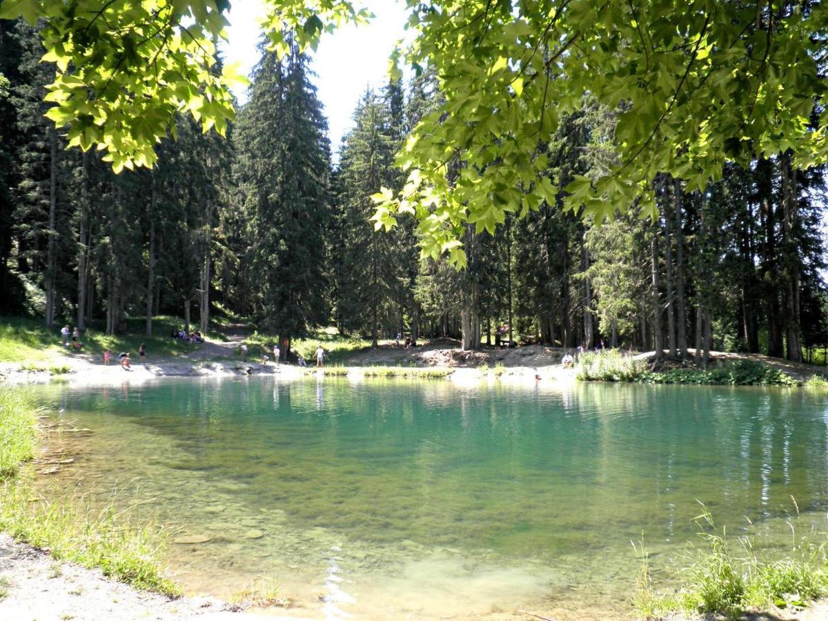 La Taniere De Sven - Vue Montagne Apartman Saint-Nicolas-la-Chapelle  Kültér fotó